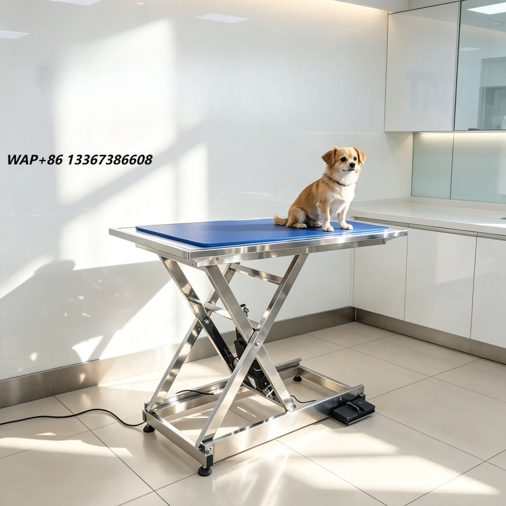 ⚠ AT animal X-ray examination  - đánh giá và giá Veterinary X-Ray