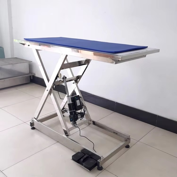 ⚠ AT animal X-ray examination  - đánh giá và giá Veterinary X-Ray