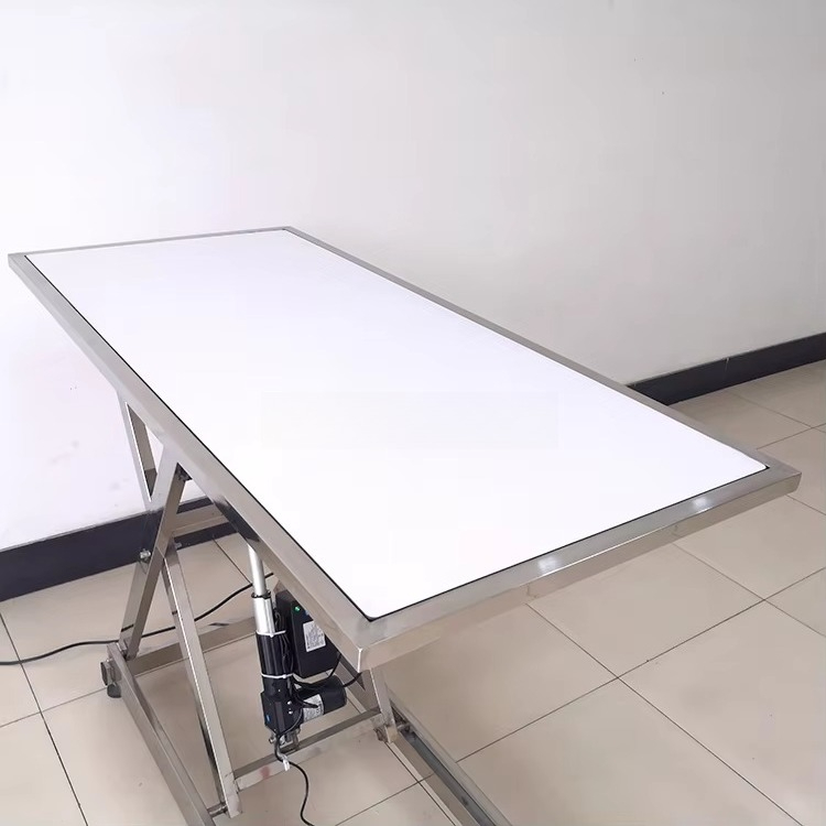 ⚠ AT animal X-ray examination  - đánh giá và giá Veterinary X-Ray