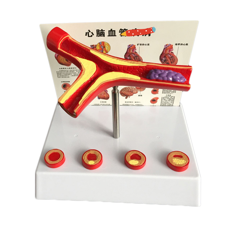 50 Lần Mở Rộng Con Người Tàu X - đánh giá và giá Medical Lab And Science