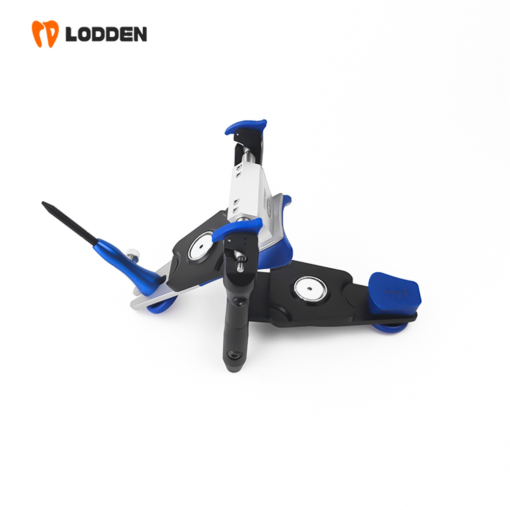 LODDEN BN Value Articulator Mi - đánh giá và giá Medical Lab Values