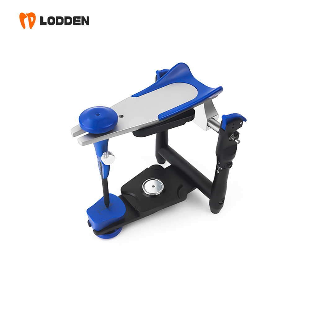 LODDEN BN Value Articulator Mi - đánh giá và giá Medical Lab Values