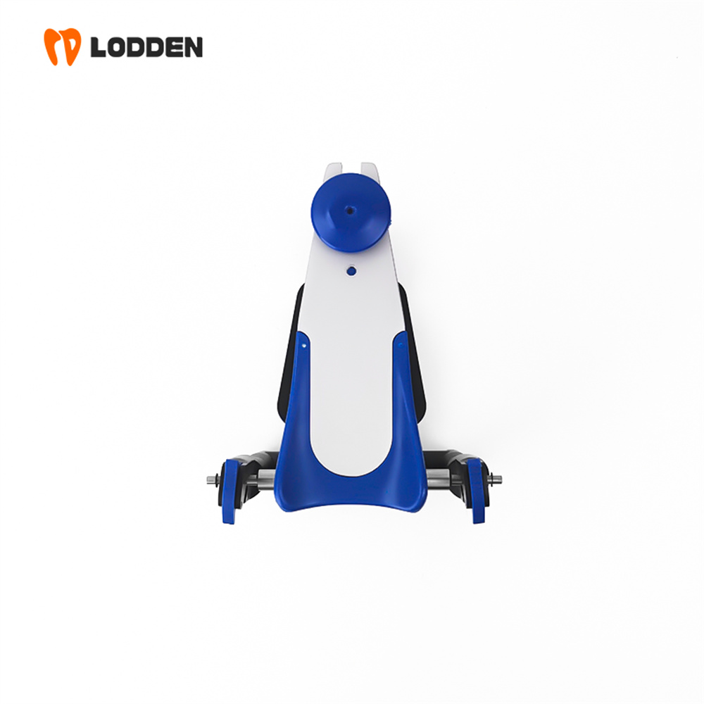 LODDEN BN Value Articulator Mi - đánh giá và giá Medical Lab Values