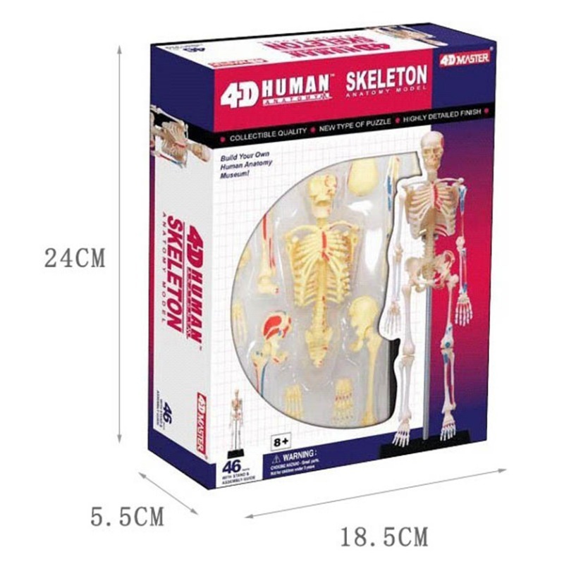 4D Master Human Skeleton Anato - đánh giá và giá Medical Lab And Science